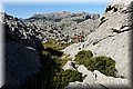 P4223634.JPG