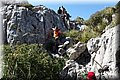 P4223647.JPG