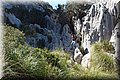 P4223650.JPG