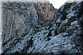 P4223673.JPG