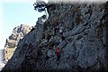 P4223686.JPG