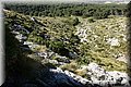 P5043761.JPG
