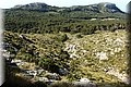 P5043762.JPG