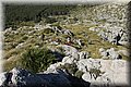 P5043767.JPG