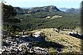 P5043769.JPG
