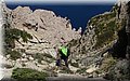 P5043830.JPG
