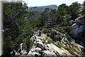 P5043849.JPG