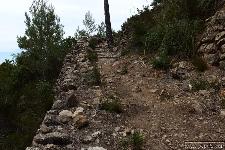 P5113987.JPG