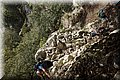 P5113960.JPG