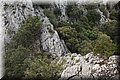 P5113976.JPG