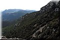 P5113978.JPG