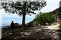 P5113985.JPG