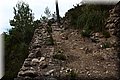 P5113987.JPG