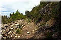 P5113991.JPG