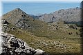 P5154003.JPG