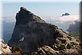 P5154010.JPG