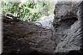 P5184101.JPG