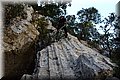 P5234141.JPG