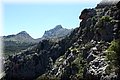 P5234160.JPG