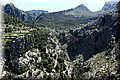 P5234161.JPG