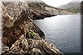 P5304240.JPG