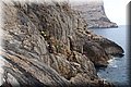 P5304267.JPG