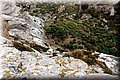 P5304320.JPG