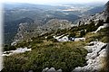 P6014327.JPG