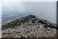 P6014334.JPG
