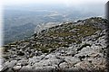 P6014338.JPG