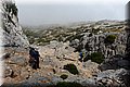 P6014340.JPG