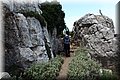 P6014343.JPG