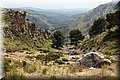 P6014352.JPG