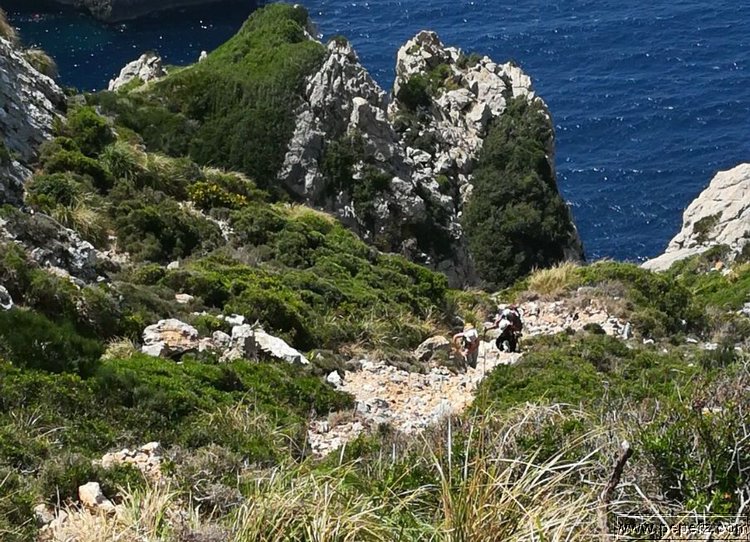 IMG-WA0050.jpg