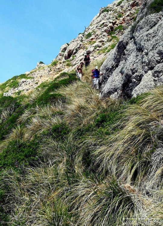IMG-WA0053.jpg