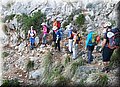 IMG-20170606.jpg