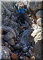 IMG-WA0032.jpg