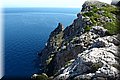 P6064362.JPG