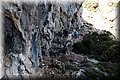 P6064369.JPG