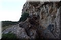 P6064370.JPG