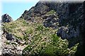 P6064379.JPG