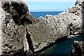 P6064397.JPG