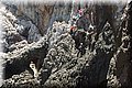 P6064430.JPG
