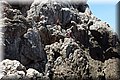 P6064478.JPG