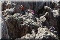 P6064481.JPG