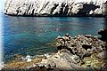 P6084521.JPG