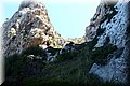 P6084530.JPG