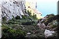P6084532.JPG