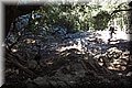 P6124543.JPG