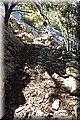P6124546.JPG